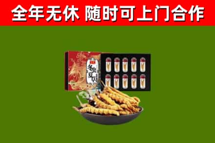 贵阳市烟酒回收冬虫夏草礼盒.jpg